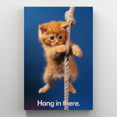 " Little Cat Hang In There "