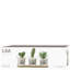 Round Glass Planter