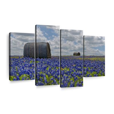Texas Bluebonnets Wall Art, reproduction d'art sur toile