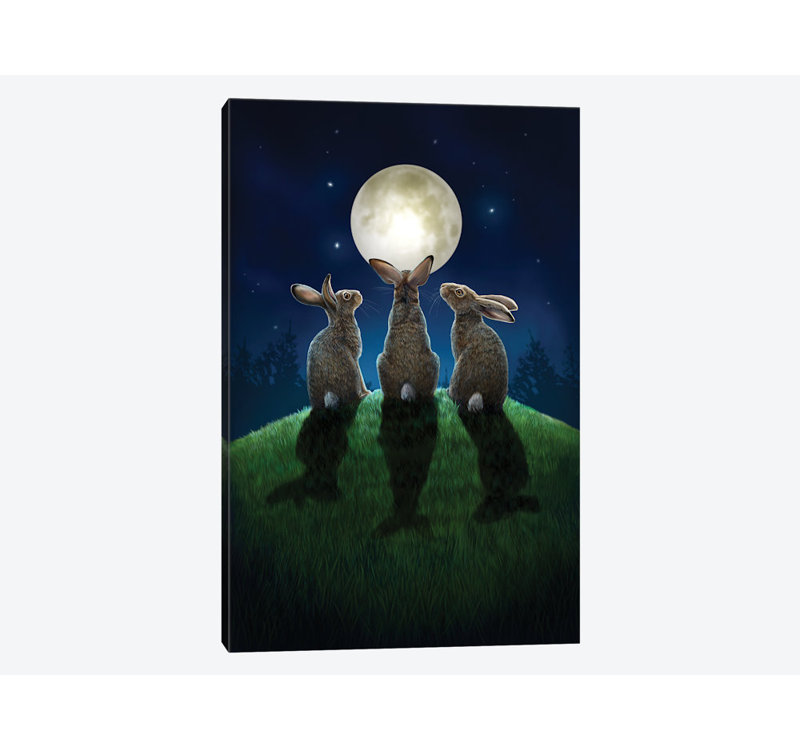 « moon shadows », impression sur toile tendue, H 18 po x l 12 po x P 1,5 po, Toile tendue, Pas de tapis