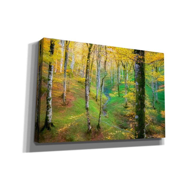 «Dream of Birches» par Lars Van de Goor, art mural sur toile, H 12 po x l 18 po x P 0,75 po