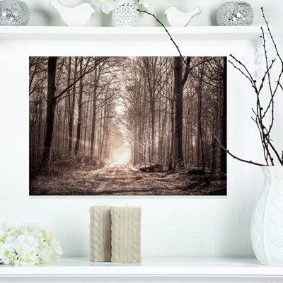 " Forest Trail In Sepia "