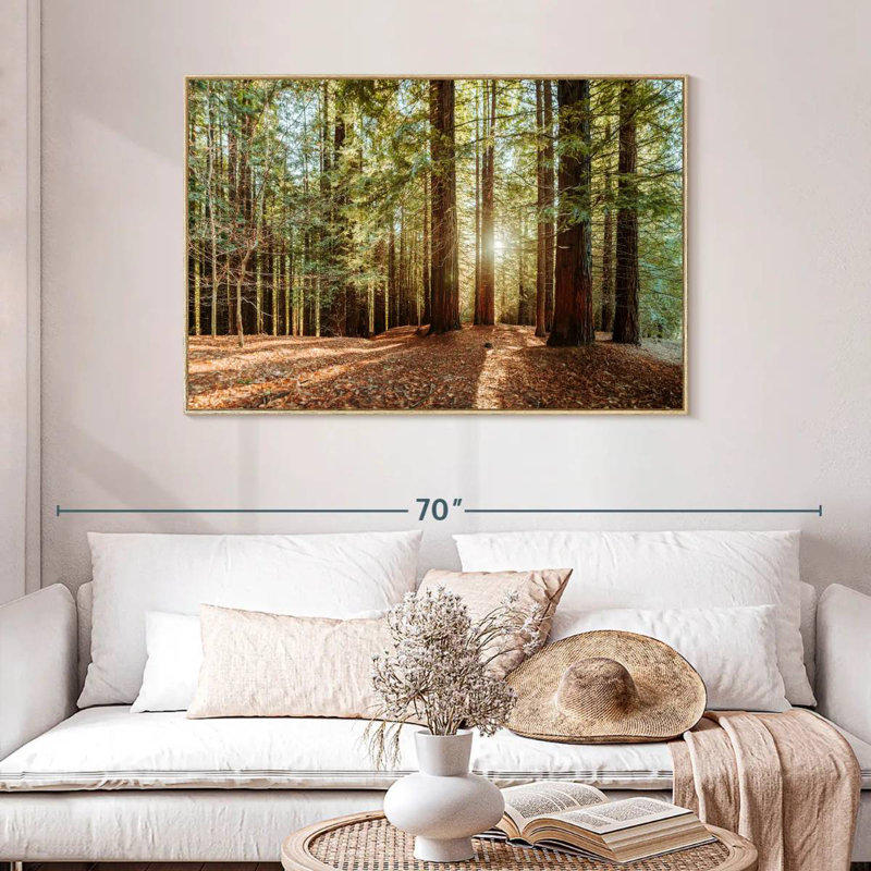Séquoia avec rayons de soleil, Cadre flottant en bois naturel, 46 po x 31 po