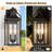 Alvester 18" H 2-Light Bronze Iron Outdoor Wall Lantern-976385882-986724626