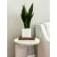 Fausse plante serpent 23 po Crestwood