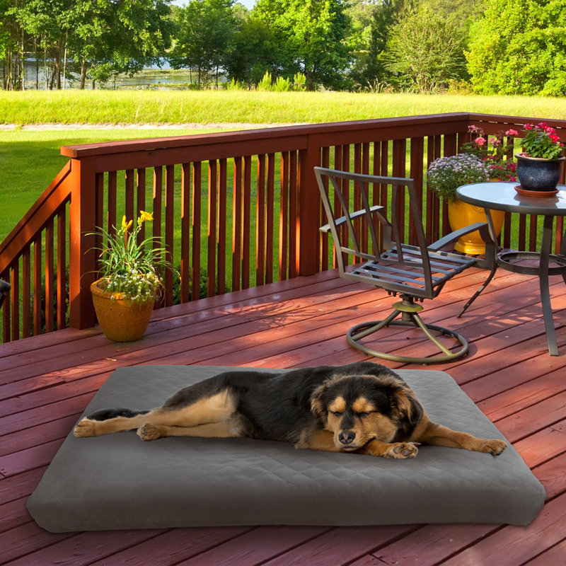 Lit imperméable pour chien avec housse amovible lavable à la machine Kasper Petmaker Kasper, L 44 po x P 35 po x H 3,5 po