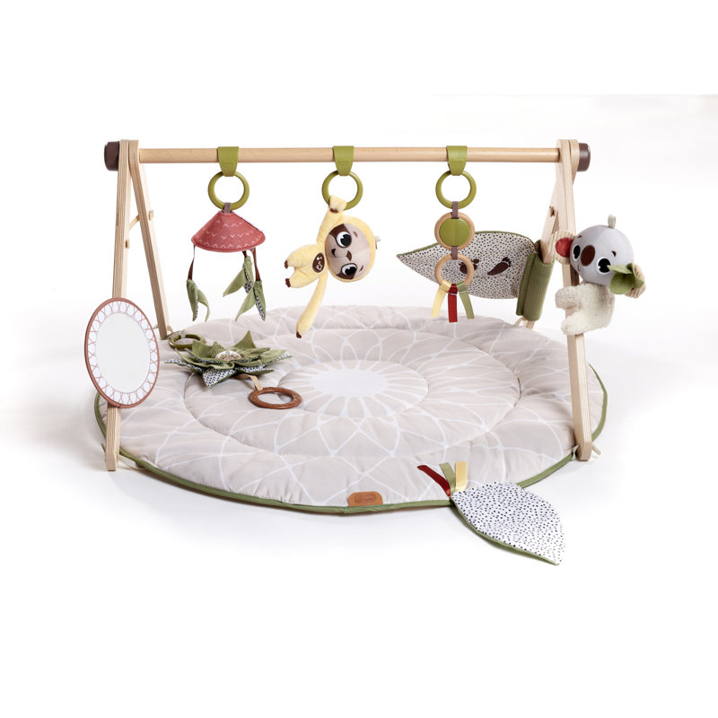 Tiny Love Boho Chic Luxe Developmental Gymini