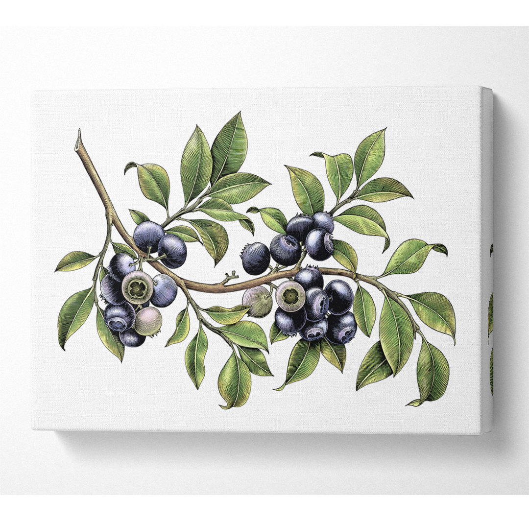 Blueberry Branch - Kunstdrucke auf Leinwand ohne Rahmen