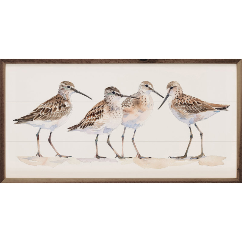 Sandpipers I By Petals Prints Design, H 8 po x l 16 po