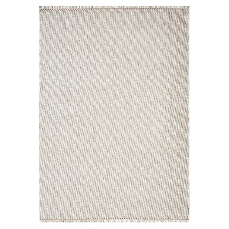 Textured Fringed Area Rug