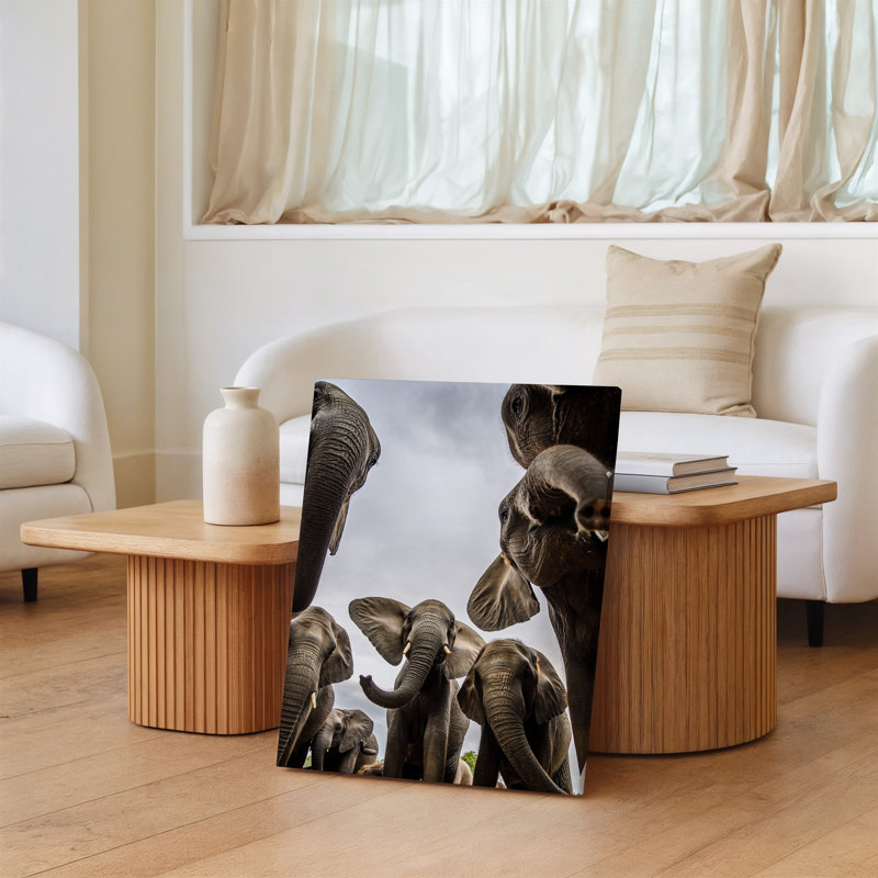 Toile, une scène captivante mettant en vedette un groupe d'éléphants ludiques, art mural capturé sous un angle faible créant une perspective dynamique