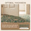 Tapis Prairie2 traditionnel surteint uni or vert crème ivoire, lavable à la machine, antidérapant, à poils courts, pour l'intérieur et l'extérieur, adapté aux animaux domestiques, idéal pour le salon, la chambre, la salle à manger, l'entrée, le corridor ou le bureau.-495913753