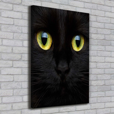 Cat's Eyes - Wrapped Canvas Print