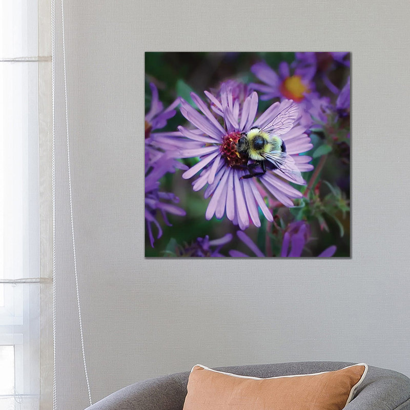 Bumbling Along by Steve Toole - No Frame Gallery-Wrapped Canvas Giclée on Canvas, 66.04cm H x 66.04cm W