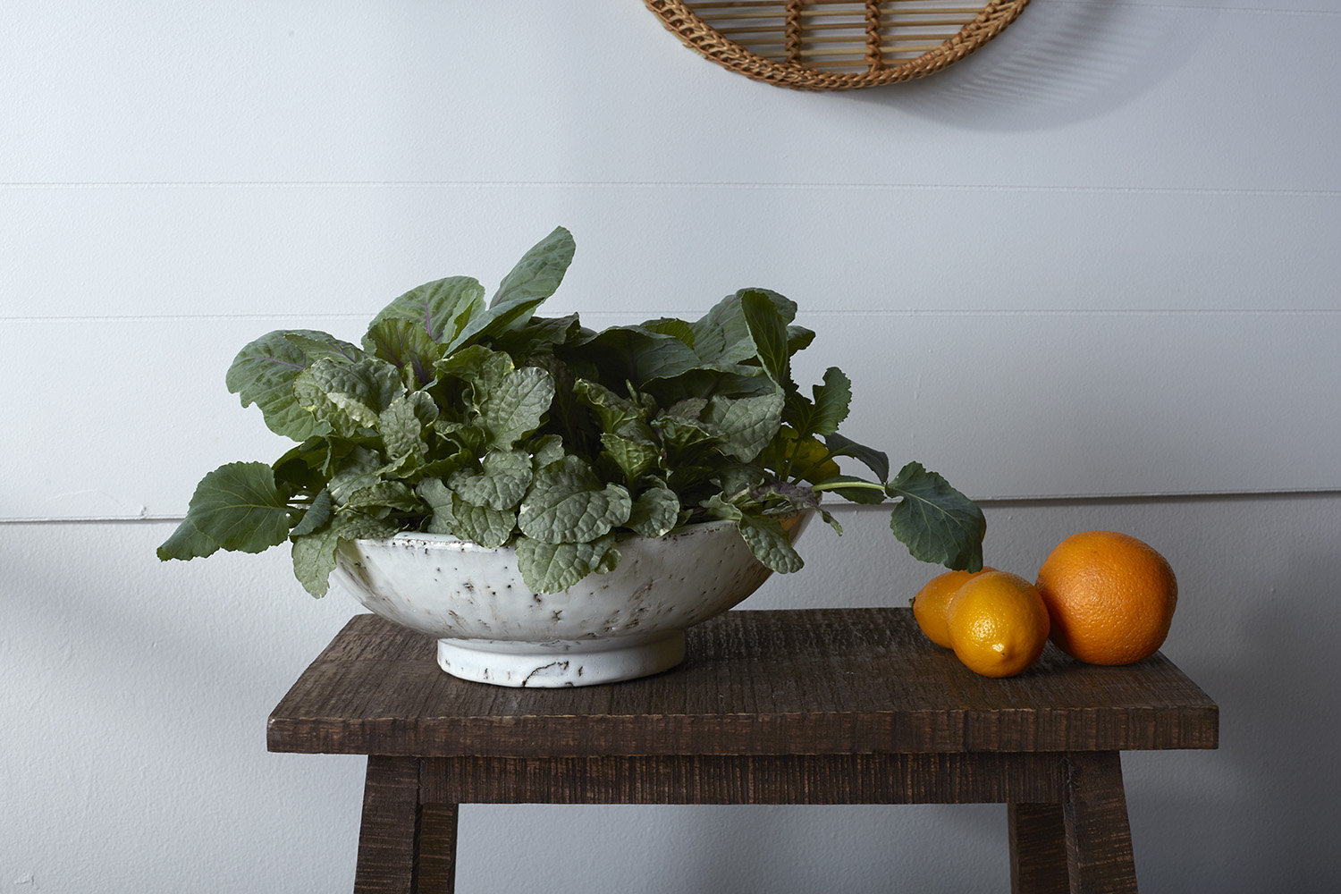 Zinfandel 12" Ceramic Pot Planter