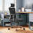 Ashendon Ergonomic Mesh Office Chair with Adjustable Lumbar Support and Padded Armrests for 300lbs-1142399077