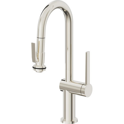 La Spezia Kitchen Faucet