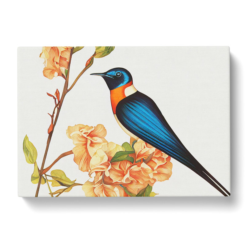 Daring Swallow Bird - Wrapped Canvas, 50cm H x 76cm W x 3cm D