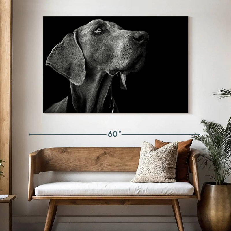 Brampt Monochrome Dog