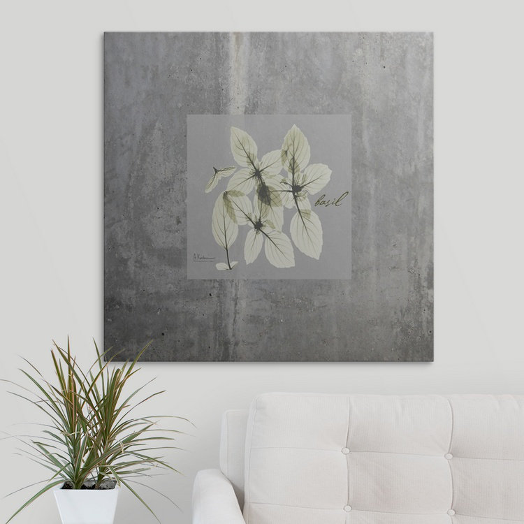 «Concrete Basil» par Redmayne, impression, H 35 po x l 35 po x P 1,5 po, Toile