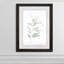 « ethereal eucalyptus ii »-impression du cadre sur verre-316484408-316484413