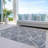  Aleg Area Rug with Non-Slip Backing-2078917819