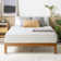 Wayfair Sleep Napeague Plush Memory Foam Mattress