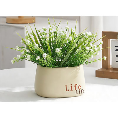 Ensemble d'assortiments mixtes en pot