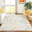 Machine Washable Indoor/Outdoor Chantille ACN2408 Geometric Rug-259960067