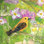 " Signs Of Spring II " by Elizabeth St. Hilaire