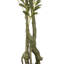 Faux arbre 5 pi avec branches et fruits en pot noir