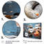 «Grey Duck», art mural «Duck»-572250080-572250081