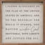 Pledge Allegiance-2059851063