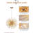 Pantalone 9 - Light Sputnik Sphere Chandelier