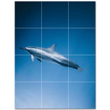 Dolphin Photo 12'' x 12'' Satin Ceramic Decorative Mural