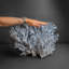 Genuine Blue Ridge Coral (15", 15 Lbs)