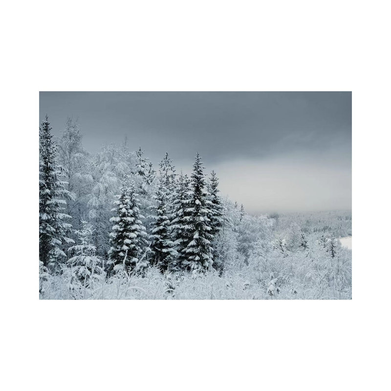 Snowy Sweden by Andreas Stridsberg - Gallery-Wrapped Canvas Giclée on Canvas, 20.32 cm H x 30.48 cm W, Canvas