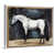 White Framed Canvas