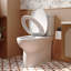 Toilette allongée deux pièces à hauteur de chaise Ellai 1,28 GPF (siège inclus)