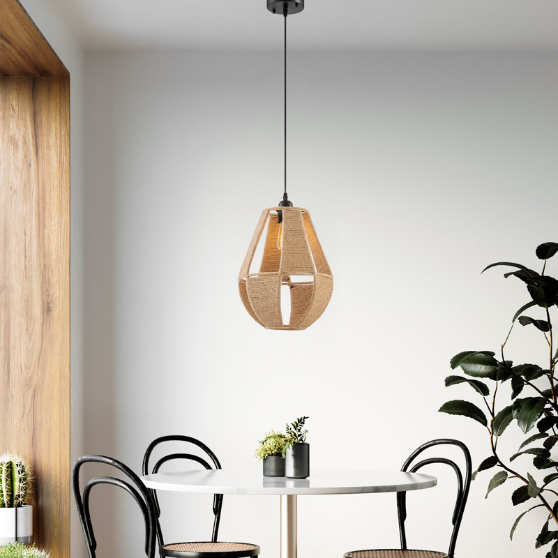 Luminaire suspendu noir mat 1 lumière