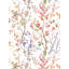 Potpourri-1897791873