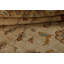 Tapis beige / rouge en laine noué à la main de conception unique 5 pi 0 po x 7 pi 10 po
