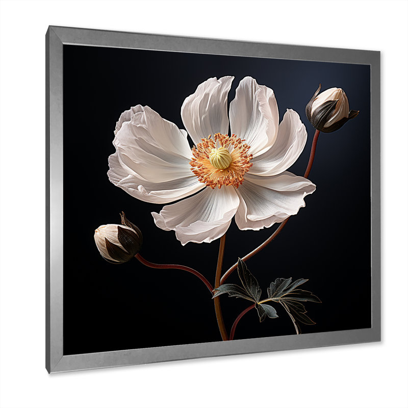 Sunny Ranunculus Dreams I sur toile, Cadre simple argenté, H 24 po x l 24 po x P 1 po