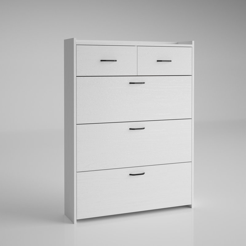 Baneen 8 Pair Shoe Storage Cabinet