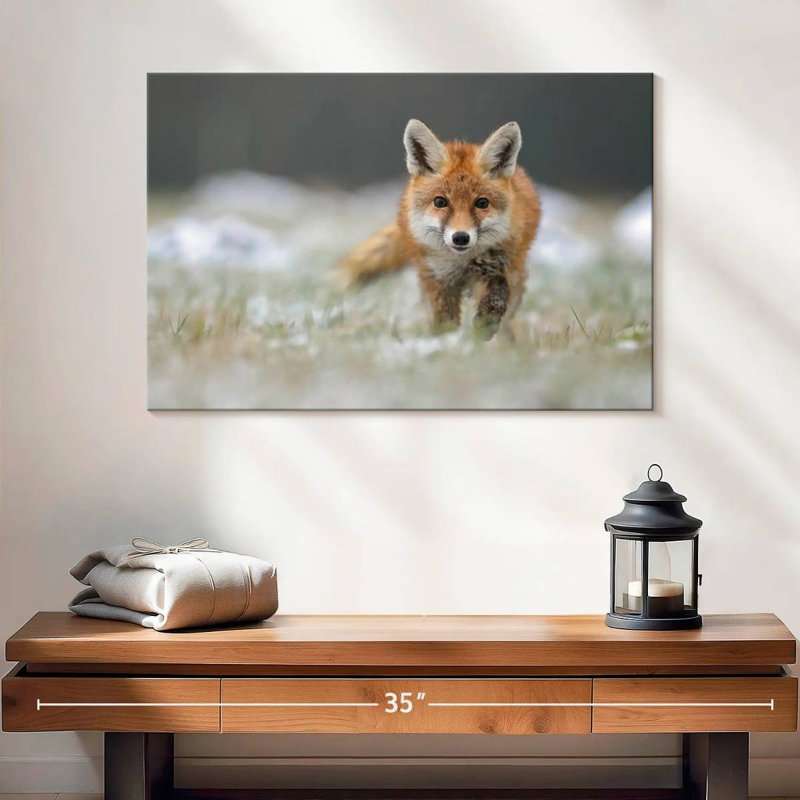 Brampt Baby Red Fox, 16" H x 24" W