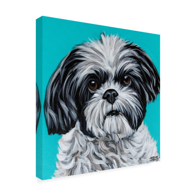 Carolee, art de Shih Tzu noir et blanc sur toile