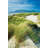 Oregon Dunes Grass by Alan Majchrowicz - Wrapped Canvas Photograph-1906946489