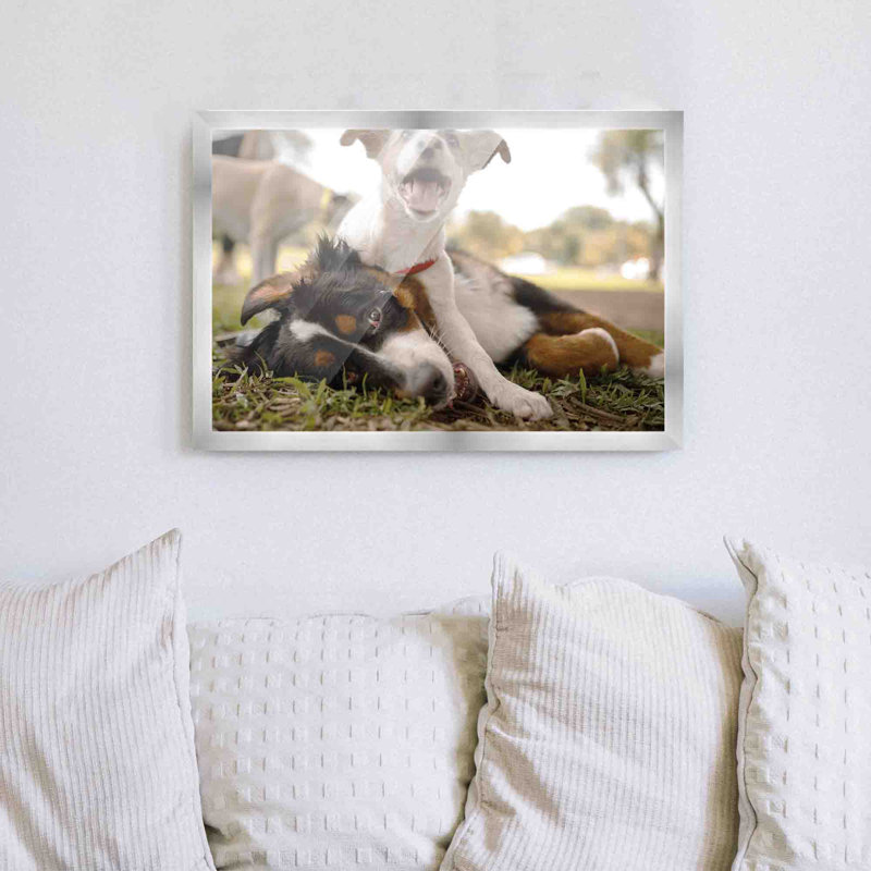 Cadre pour photo simple en bois mat, Argent, 5 po x 6 po