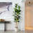 Artificial Fiddle Leaf Tree in Decorative White Planter-188350094