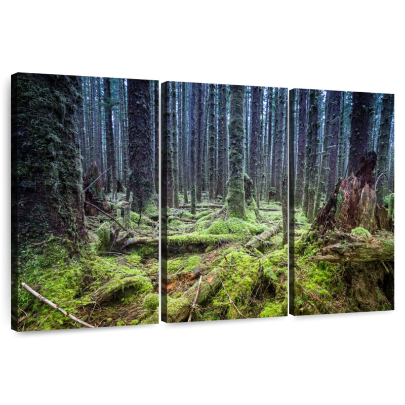 Alvord Mossy Hoh Rainforest, 20" H x 33" W